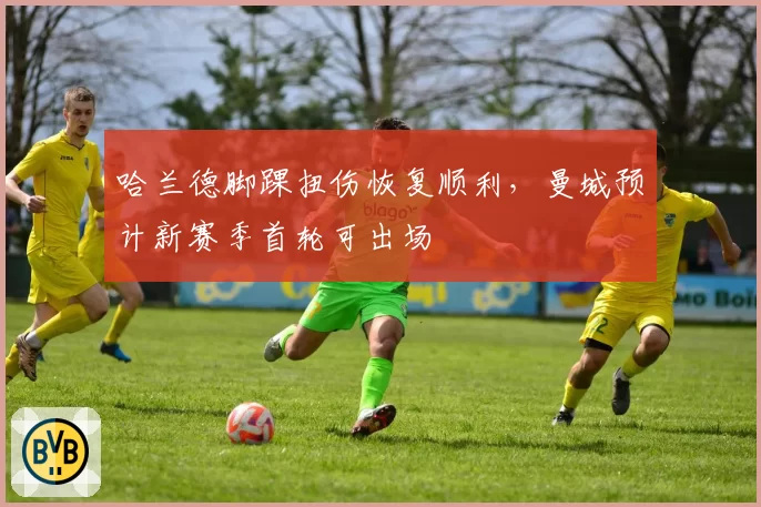 哈兰德脚踝扭伤恢复顺利，曼城预计新赛季首轮可出场