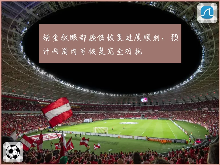 胡金秋眼部挫伤恢复进展顺利，预计两周内可恢复完全对抗
